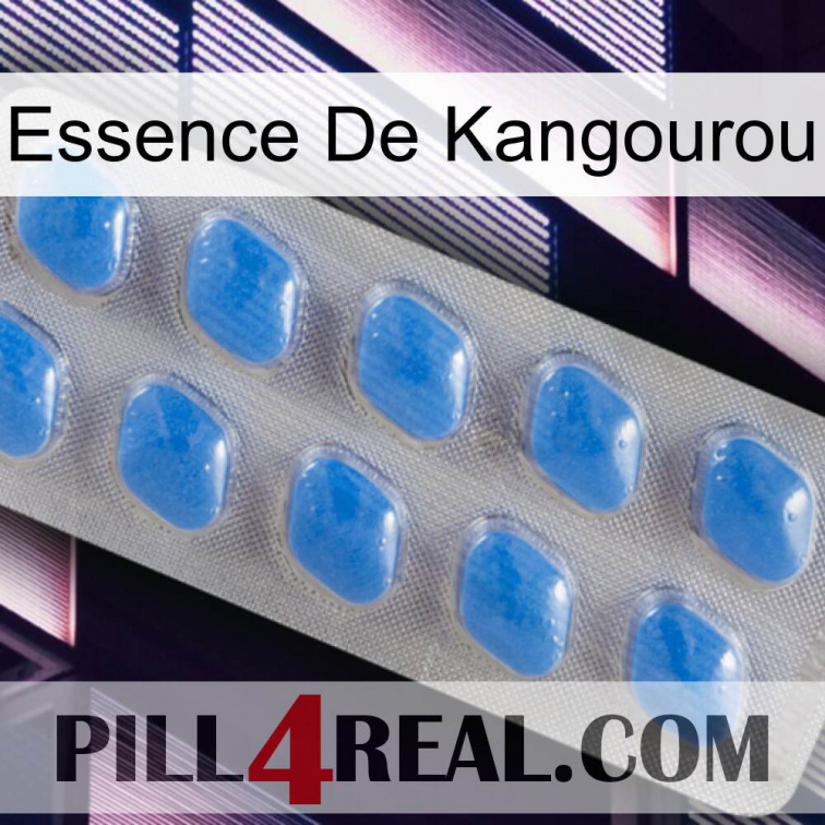 Kangaroo Essence 22